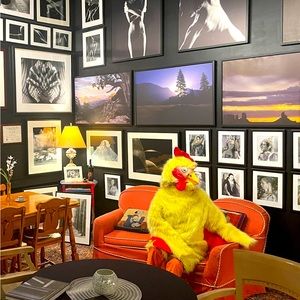 It’s a chicken costume …